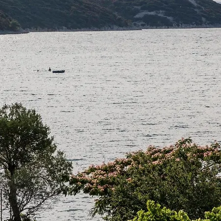 Marija Guest house 3*