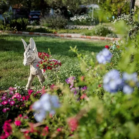 Marija Guest house 3*